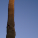 Image for article titled Shooting Challenge: Cellphone Gallery Part 6
